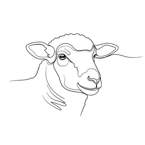 تصميم الرسومات الخطية